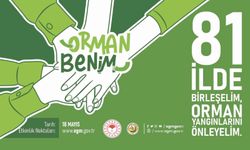 2026 Yılı Orman Benim Etkinlik Alanları