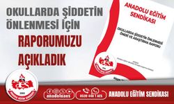 Şiddete Karşı Alınacak Önlemler İçin Raporumuzu Açıkladık
