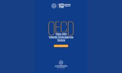 “OECD Yapay Zekâ Yetkinlik Göstergelerinin Tanıtımı” Raporu Türkçeye Kazandırıldı!
