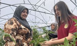 Uygulama Seralarında Tarımı Öğrenen Liseliler, Bilinçli Üretime Öncülük Ediyor