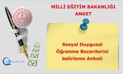 Sosyal Duygusal Öğrenme Becerilerini belirleme Anketi