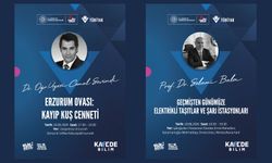 Kayıp Kuş Cenneti - Elektrikli taşıtlar ve Şarj İstasyonları