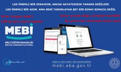 LGS önemli bir sınavdır; ancak hayatınızın tamamı değildir