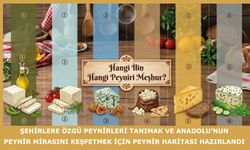 Şehirlere özgü peynirleri tanımak ve Anadolu’nun peynir mirasını keşfetmek için peynir haritası hazırlandı