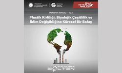 Plastik Kirliliği, Biyolojik Çeşitlilik ve İklim Değişikliğine Küresel Bir Bakış
