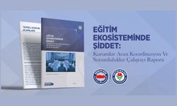 EĞİTİM EKOSİSTEMİNDE ŞİDDET ÇALIŞTAYIMIZIN RAPORUNU YAYIMLADIK