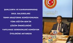 TBMM Araştırma Komisyonunda, Türk Eğitim-Sen’in çözüm önerilerini sunduk