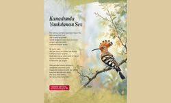 Kanadımda Yankılanan Ses