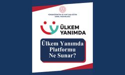 Ülkem Yanımda Platformu ne sunar?