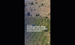 Eğitim sınıfta başlar ama sınıfın içinde kalmaz