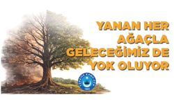 YANAN HER AĞAÇLA GELECEĞİMİZ DE YOK OLUYOR