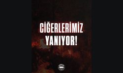 Ciğerlerimiz Yanmasın!