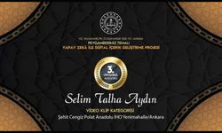 Selim Talha Aydın, Video Klip Kategorisi'nde Ortaokul Kategorisi 3.'sü oldu