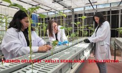 Tarımın geleceği “akıllı seralarda” şekilleniyor