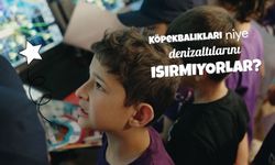Ankara Çankaya İlkokulu 2-F Sınıfı Öğrencileri