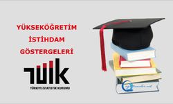 Yükseköğretim İstihdam Göstergeleri