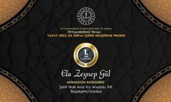 Ela Zeynep Gül, Animasyon Kategorisi'nde Lise Kategorisi 1.'si oldu
