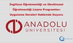İngilizce Öğretmenliği ve Okulöncesi Öğretmenliği Lisans Programları Uygulama Dersleri Hakkında