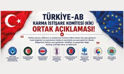 Türkiye-AB Karma İstişare Komitesi (KİK) Ortak Açıklaması!