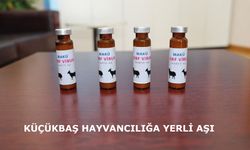 Küçükbaş hayvancılığa yerli aşı