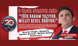 DEMİREL: TÜİK Rakam Yazıyor, Millet Bedel Ödüyor!