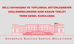 MİLLİ DAYANIŞMA VE TOPLUMSAL BÜTÜNLEŞMENİN GÜÇLENDİRİLMESİNE DAİR KANUN TEKLİFİ, TBMM GENEL KURULUNDA