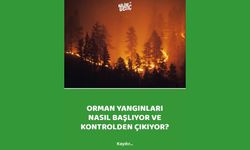 Orman yangınları nasıl başlıyor ve kontrolden çıkıyor?