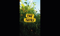 Yeni bir kitap, yeni bir rota, yeni bir beceri