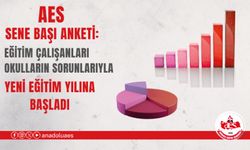 AES SENE BAŞI ANKETİ: EĞİTİM ÇALIŞANLARI OKULLARIN SORUNLARIYLA YENİ EĞİTİM YILINA BAŞLADI