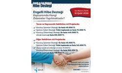 Engelli Hibe Desteği Kapsamında Hangi Ödemeler Yapılmaktadır?