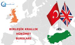 Birleşik Krallık Chevening Yüksek Lisans Burs Programı