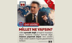MİLLET NE YAPSIN?
