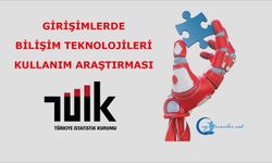 Girişimlerde Bilişim Teknolojileri Kullanım Araştırması