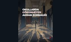 Zorbalığa uğrayan öğrencilerin yetkililerin habersiz olduğunu düşünüyor