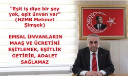 Emsal ünvanların maaş ve ücretini eşitlemek, eşitlik getirir, adalet sağlamaz