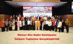 Memur-Sen Kadın Komisyonu İstişare Toplantısı Gerçekleştirildi