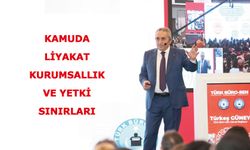 KAMUDA LİYAKAT, KURUMSALLIK VE YETKİ SINIRLARI
