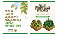 "Neden her yerde çam var, neden zeytin, ceviz, badem ağacıyla ormanlaştırma yapılmıyor?
