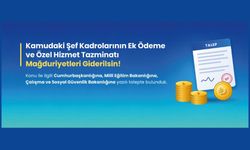 Kamudaki Şef Kadrolarının Ek Ödeme ve Özel Hizmet Tazminatı Mağduriyetleri Giderilsin!