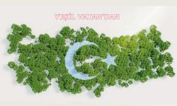 Yeşil Vatandan
