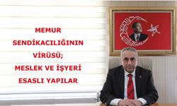 MEMUR SENDİKACILIĞININ VİRÜSÜ; MESLEK VE İŞYERİ ESASLI YAPILAR