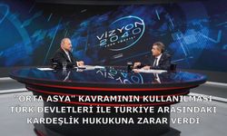 "Orta Asya" kavramının kullanılması Türk devletleri ile Türkiye arasındaki kardeşlik hukukuna zarar verdi