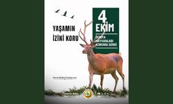 Her dalda, her kovukta, her patikada yaşamın başka bir izi vardır