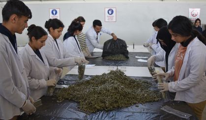 Tarımı Öğrenen Öğrenciler, Alternatif Ürün Yetiştirilmesine Öncülük Edecek