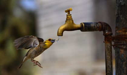 Sürdürülebilir Yaşam İçin Eğitim Su verimliliği