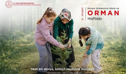 Orman, korunduğu kadar vardır