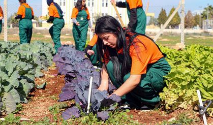 Öğrenciler, tarımı uygulayarak öğreniyor
