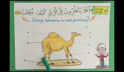 Deveye hiç bakmazlar mı, nasıl yaratılmış?