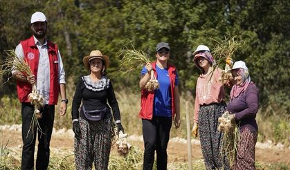Genç Çiftçi Projesi Kapsamında Gönüllü Hasat
