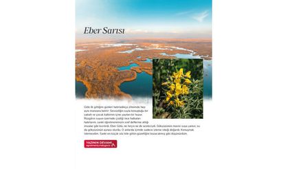 Sessizliğin, sabrın ve doğayla kurulan bağın bir yansıması